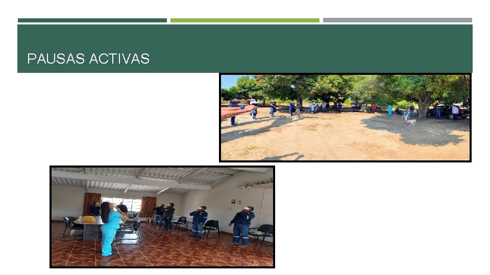 PAUSAS ACTIVAS PAUSAS ACTIVAS