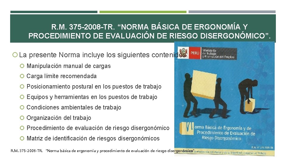 R. M. 375 -2008 -TR. “NORMA BÁSICA DE ERGONOMÍA Y PROCEDIMIENTO DE EVALUACIÓN DE R. M. 375 -2008 -TR. “NORMA BÁSICA DE ERGONOMÍA Y PROCEDIMIENTO DE EVALUACIÓN DE