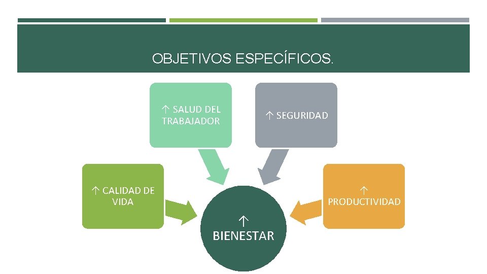 OBJETIVOS ESPECÍFICOS. ↑ SALUD DEL TRABAJADOR ↑ SEGURIDAD ↑ CALIDAD DE VIDA ↑ PRODUCTIVIDAD OBJETIVOS ESPECÍFICOS. ↑ SALUD DEL TRABAJADOR ↑ SEGURIDAD ↑ CALIDAD DE VIDA ↑ PRODUCTIVIDAD