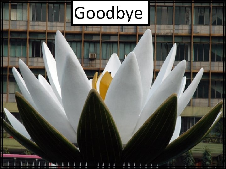 Goodbye 