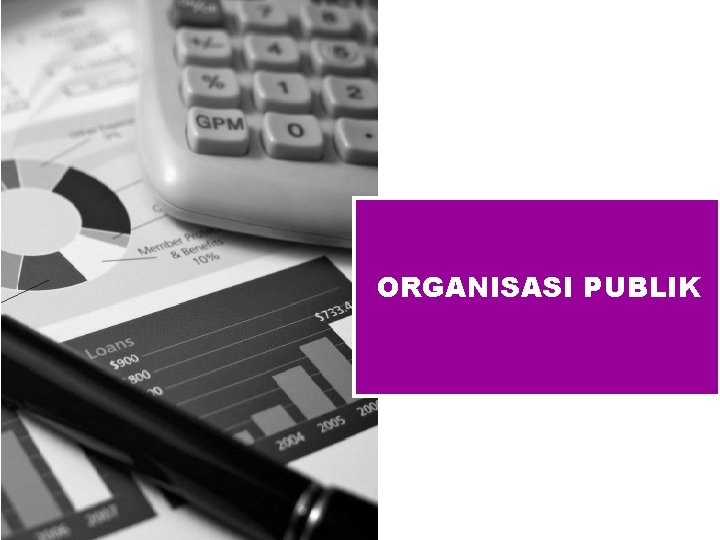 ORGANISASI PUBLIK 