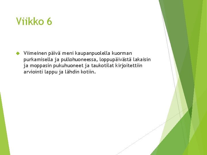 Viikko 6 Viimeinen päivä meni kaupanpuolella kuorman purkamisella ja pullohuoneessa, loppupäivästä lakaisin ja moppasin