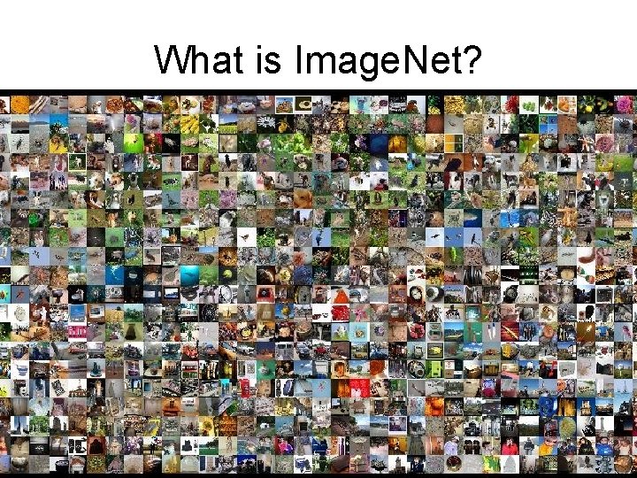 What is Image. Net? 