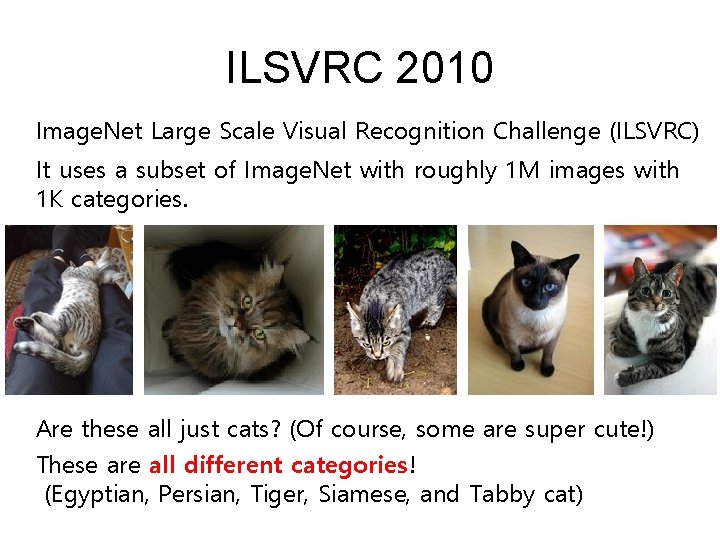 ILSVRC 2010 Image. Net Large Scale Visual Recognition Challenge (ILSVRC) It uses a subset