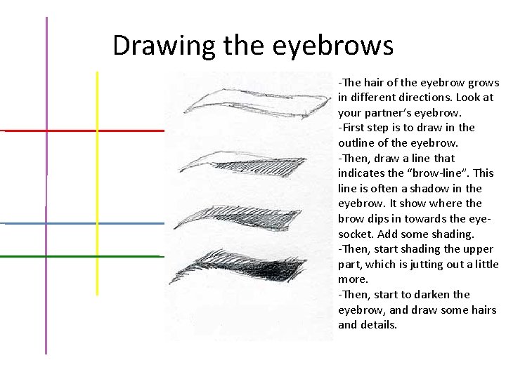 Drawing the eyebrows -The hair of the eyebrow grows in different directions. Look at