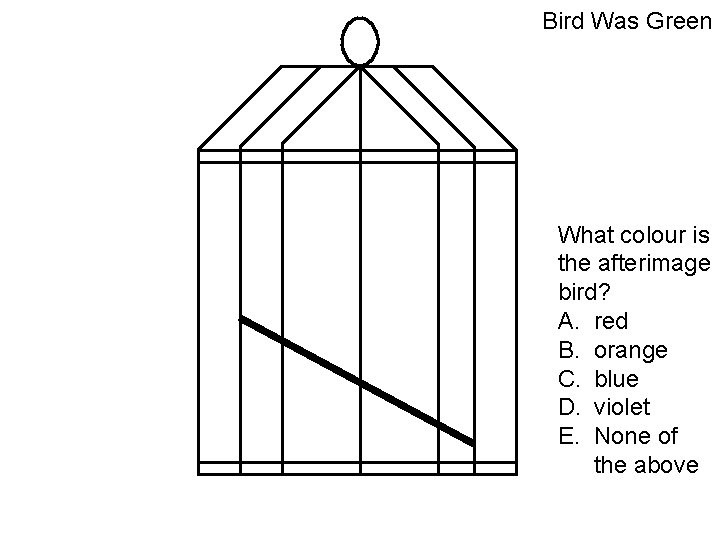 Bird Was Green What colour is the afterimage bird? A. red B. orange C.