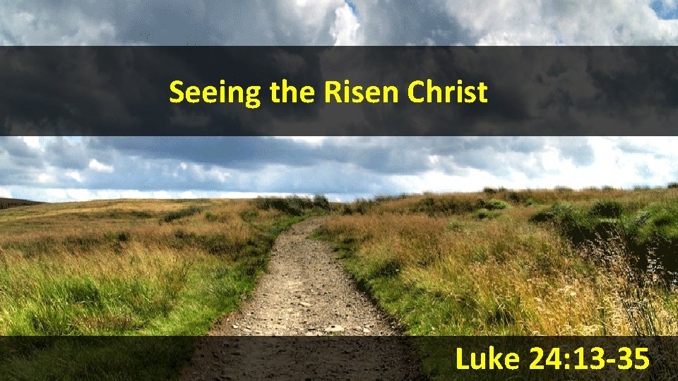 Seeing the Risen Christ Luke 24: 13 -35 