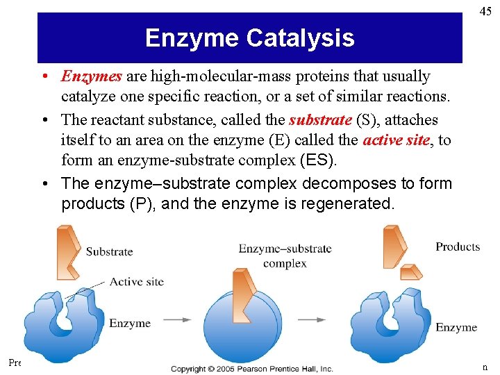 45 Enzyme Catalysis • Enzymes are high-molecular-mass proteins that usually catalyze one specific reaction,