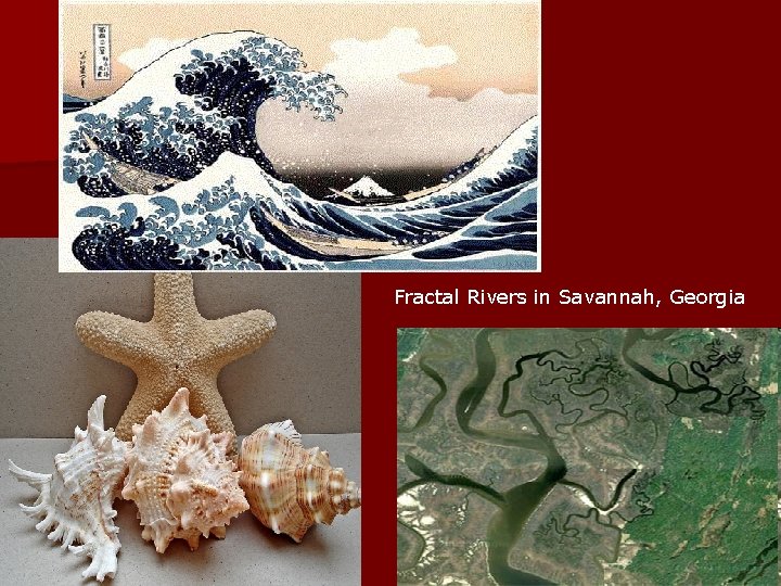  Fractal Rivers in Savannah, Georgia 