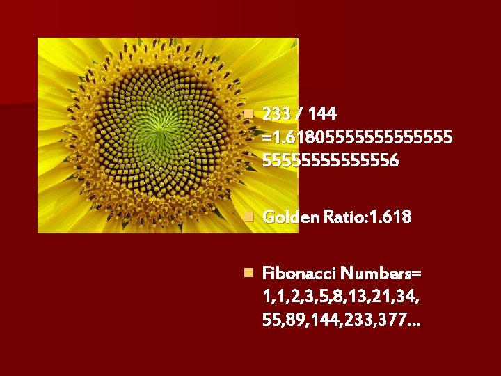 n 233 / 144 =1. 618055555556 n Golden Ratio: 1. 618 n Fibonacci Numbers=