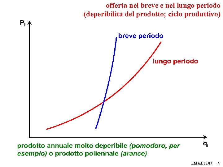 offerta nel breve e nel lungo periodo (deperibilità del prodotto; ciclo produttivo) EMAA 06/07