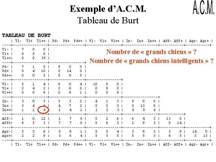 Exemple d’A. C. M. Tableau de Burt TABLEAU DE BURT | Tl- Tl++ |