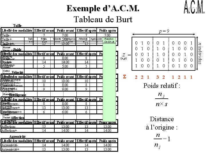 Exemple d’A. C. M. Tableau de Burt Poids Libellé des modalités Effectif avant Poids