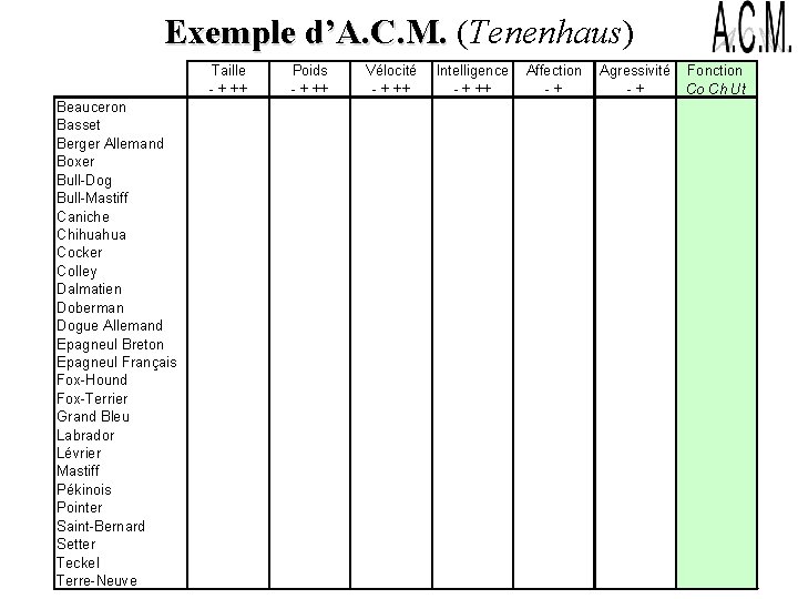 Exemple d’A. C. M. (Tenenhaus) Exemple d’A. C. M. Taille - + ++ Beauceron