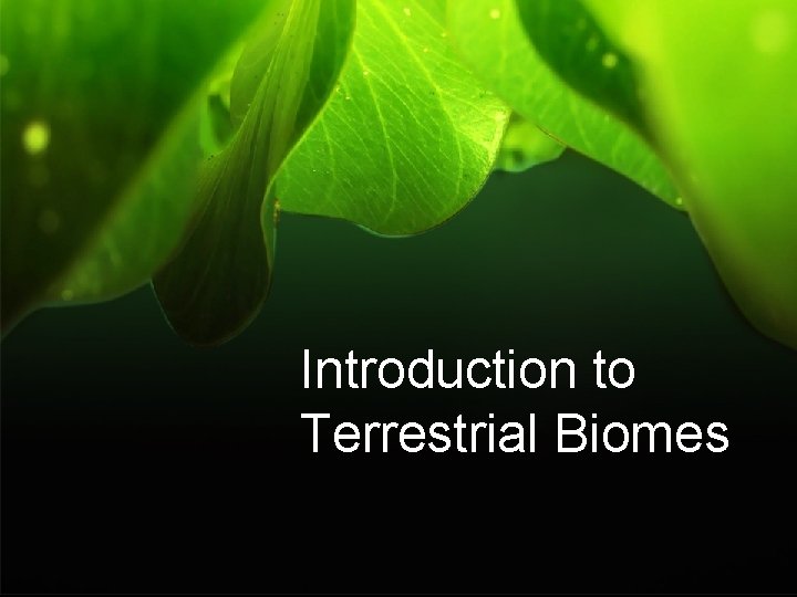 Introduction to Terrestrial Biomes 