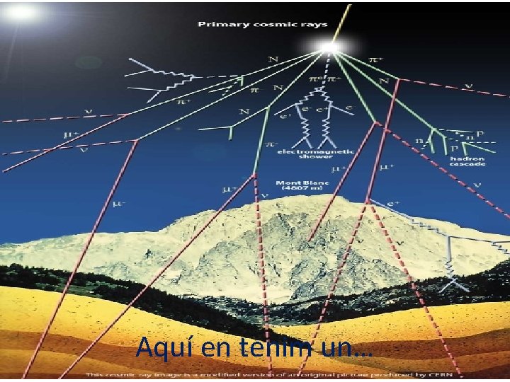 Aquí en tenim un… 