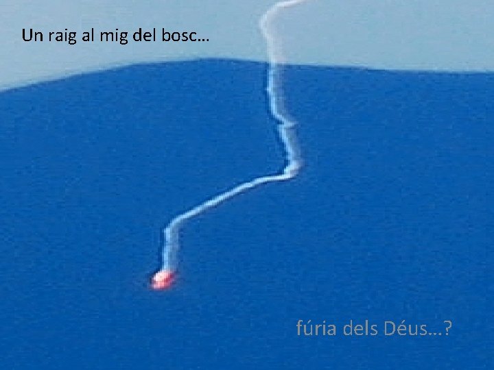 Un raig al mig del bosc… fúria dels Déus…? 