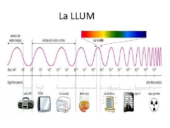 La LLUM 