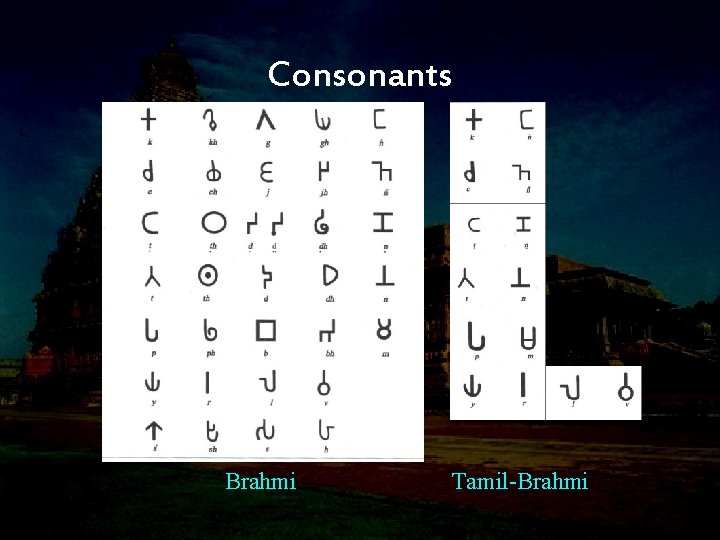 Consonants Brahmi Tamil-Brahmi 