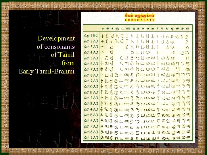 Development of consonants of Tamil from Early Tamil-Brahmi 