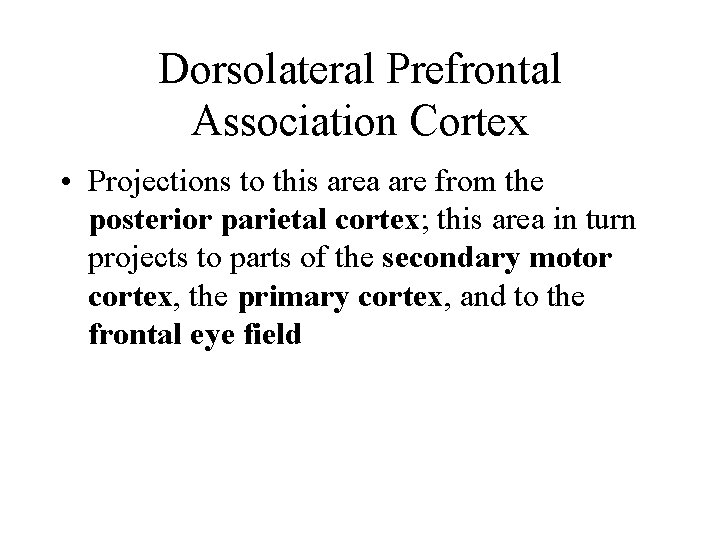 Dorsolateral Prefrontal Association Cortex • Projections to this area are from the posterior parietal