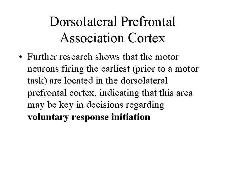 Dorsolateral Prefrontal Association Cortex • Further research shows that the motor neurons firing the