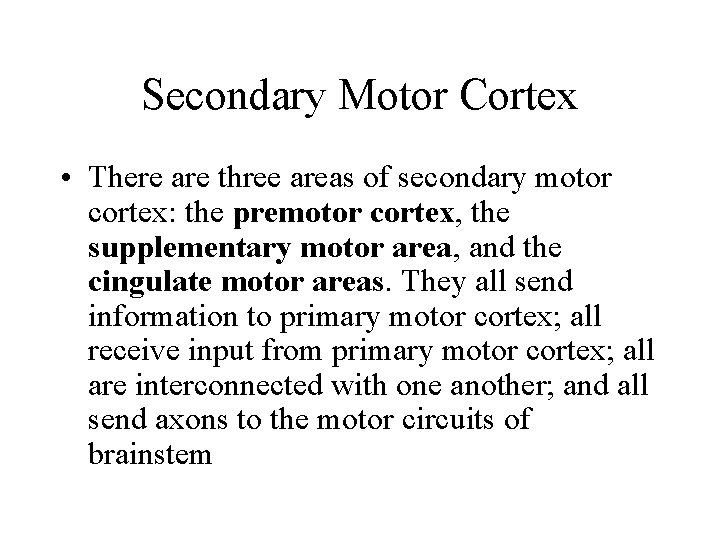 Secondary Motor Cortex • There are three areas of secondary motor cortex: the premotor