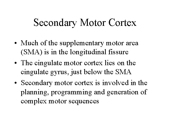 Secondary Motor Cortex • Much of the supplementary motor area (SMA) is in the