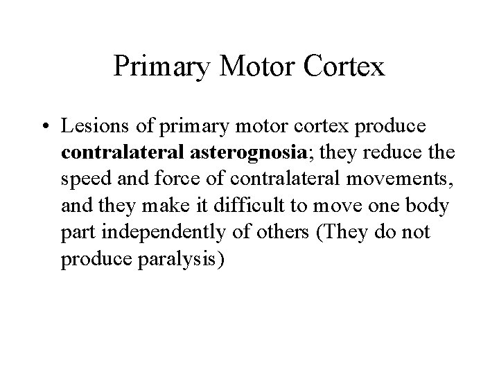 Primary Motor Cortex • Lesions of primary motor cortex produce contralateral asterognosia; they reduce