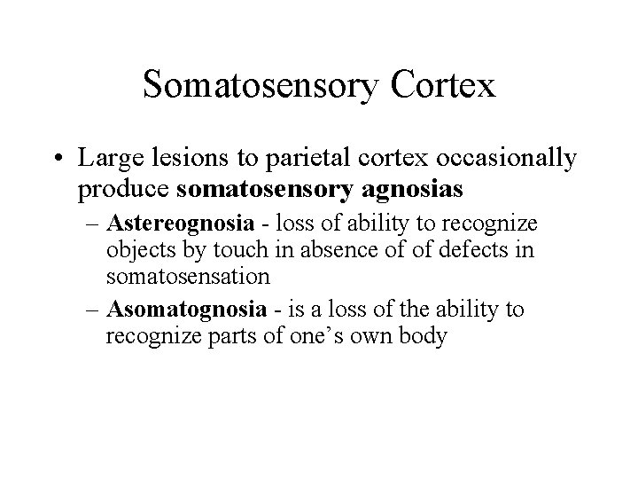 Somatosensory Cortex • Large lesions to parietal cortex occasionally produce somatosensory agnosias – Astereognosia