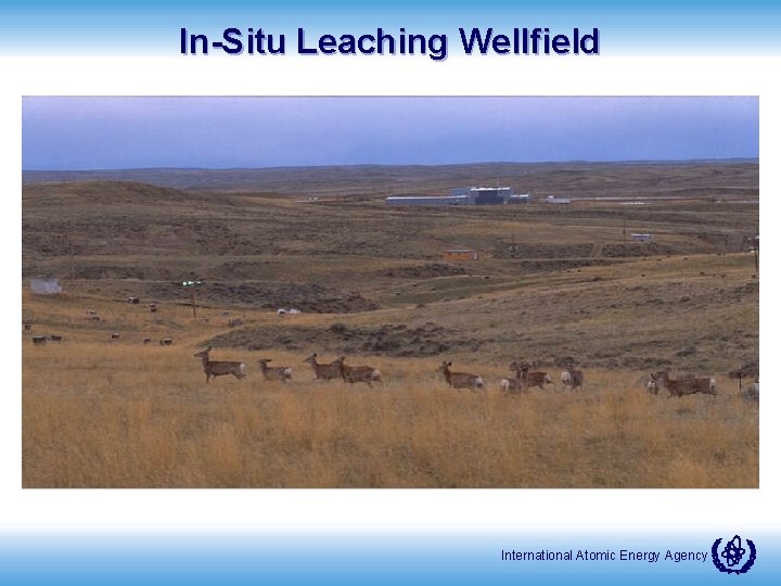 In-Situ Leaching Wellfield International Atomic Energy Agency 