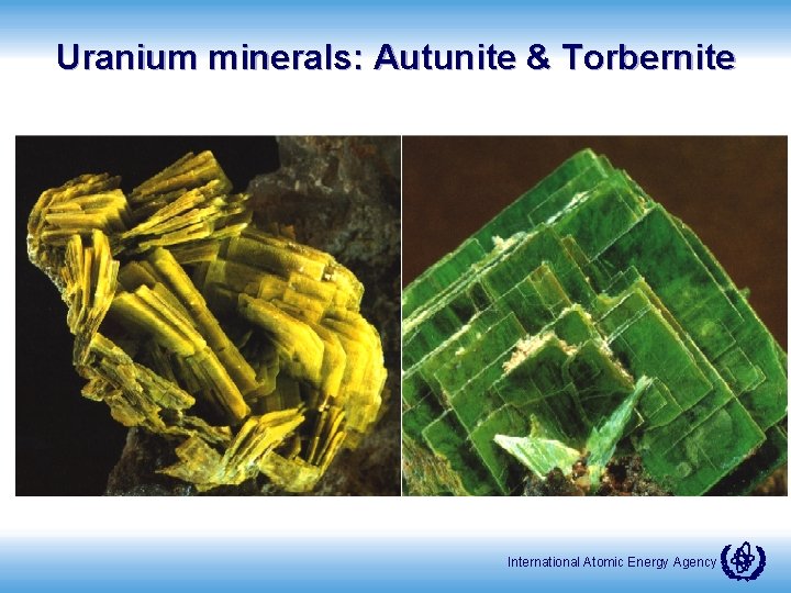Uranium minerals: Autunite & Torbernite International Atomic Energy Agency 
