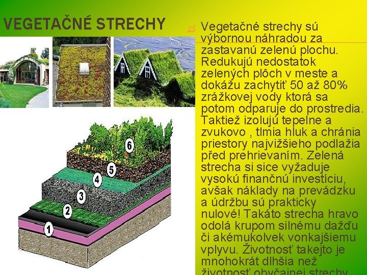 VEGETAČNÉ STRECHY Vegetačné strechy sú výbornou náhradou za zastavanú zelenú plochu. Redukujú nedostatok zelených