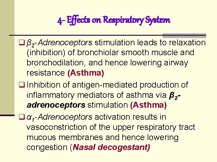 4 - Effects on Respiratory System q β 2 -Adrenoceptors stimulation leads to relaxation