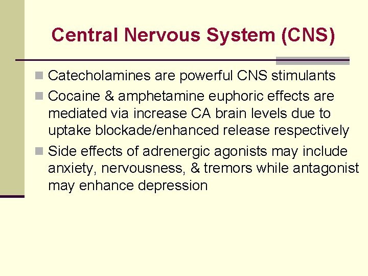 Central Nervous System (CNS) n Catecholamines are powerful CNS stimulants n Cocaine & amphetamine