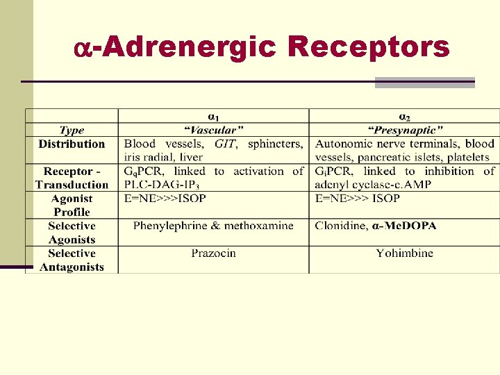  -Adrenergic Receptors 