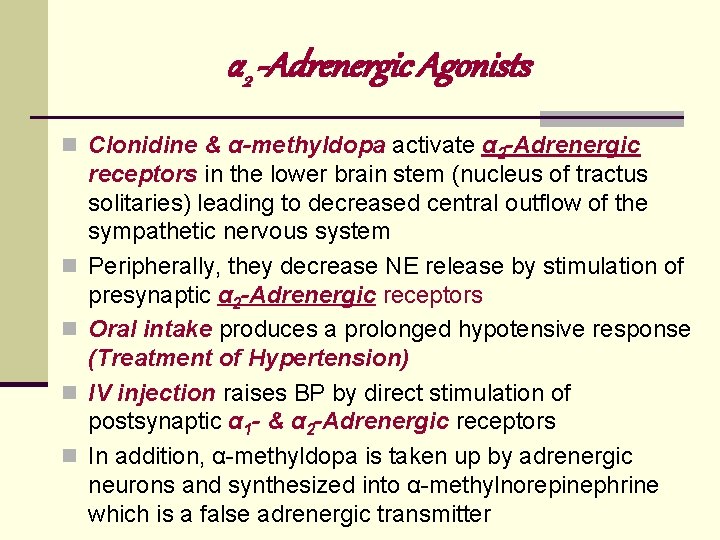 α 2 -Adrenergic Agonists n Clonidine & α-methyldopa activate α 2 -Adrenergic n n