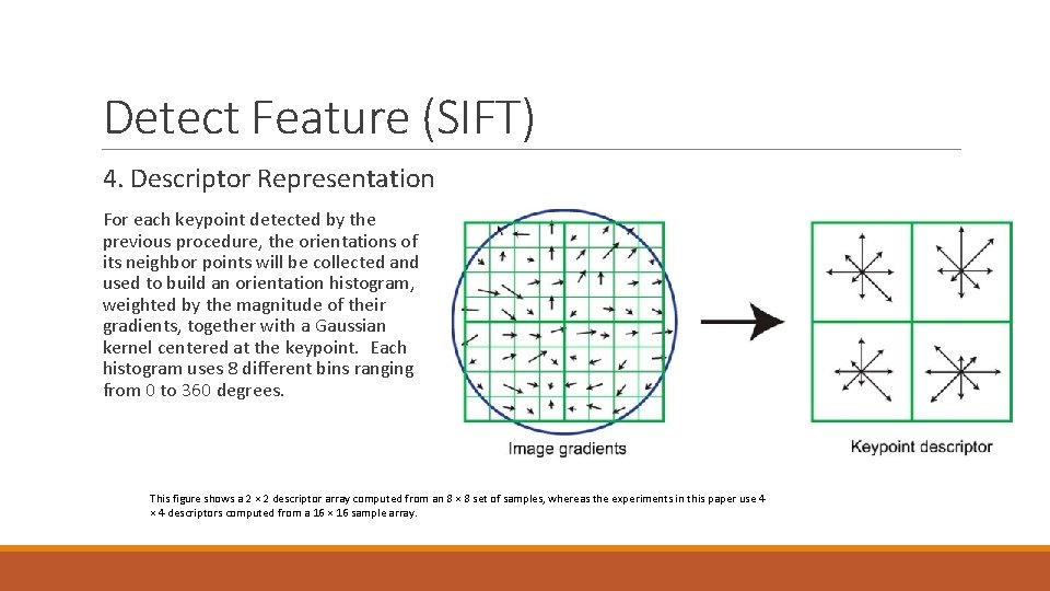 Detect Feature (SIFT) 4. Descriptor Representation For each keypoint detected by the previous procedure,