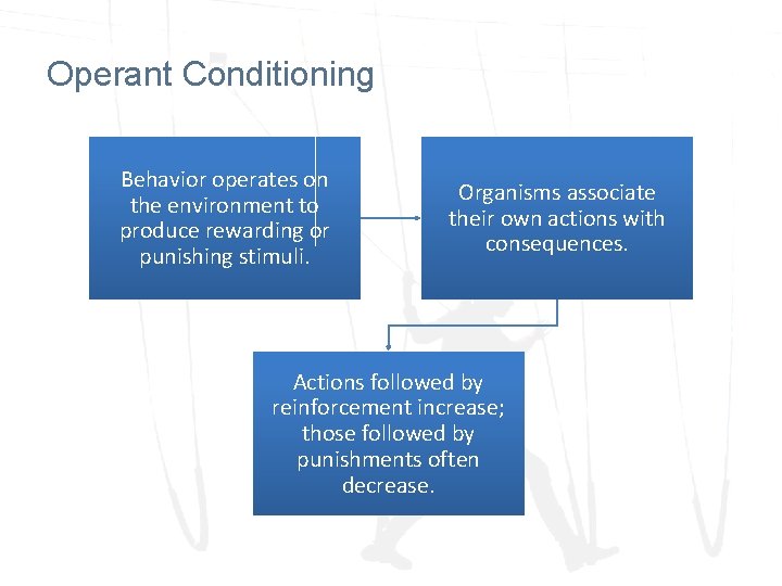 Operant Conditioning Behavior operates on the environment to produce rewarding or punishing stimuli. Organisms