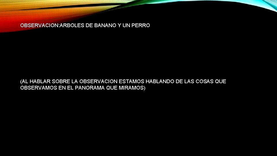 OBSERVACION: ARBOLES DE BANANO Y UN PERRO (AL HABLAR SOBRE LA OBSERVACION ESTAMOS HABLANDO