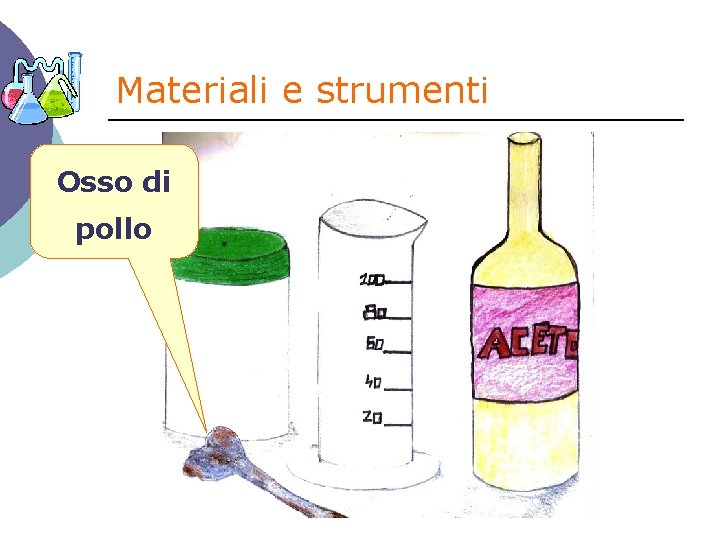 Materiali e strumenti Osso di pollo 