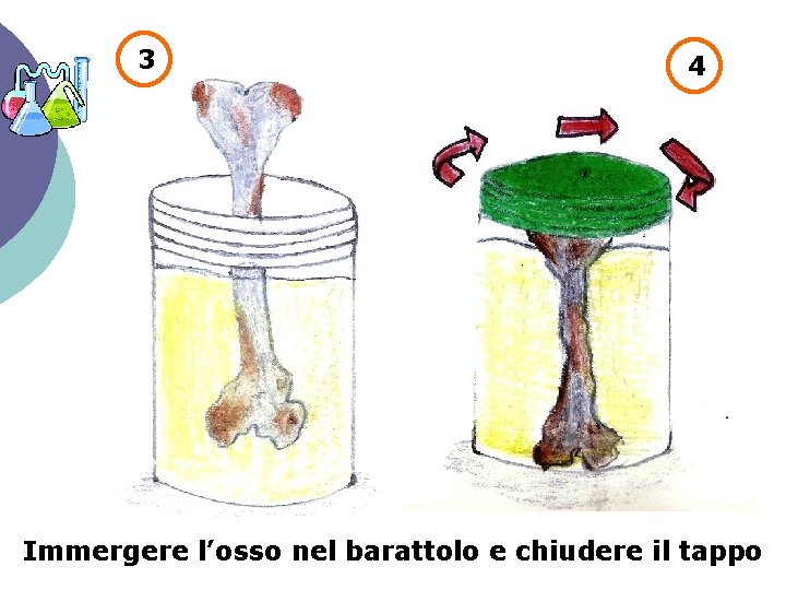 3 4 Immergere l’osso nel barattolo e chiudere il tappo 