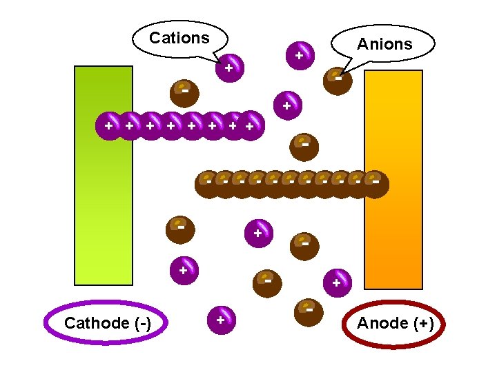 Cations Anions + + - - + + + + + - - - Cations Anions + + - - + + + + + - - -