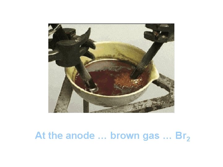 At the anode … brown gas … Br 2 At the anode … brown gas … Br 2
