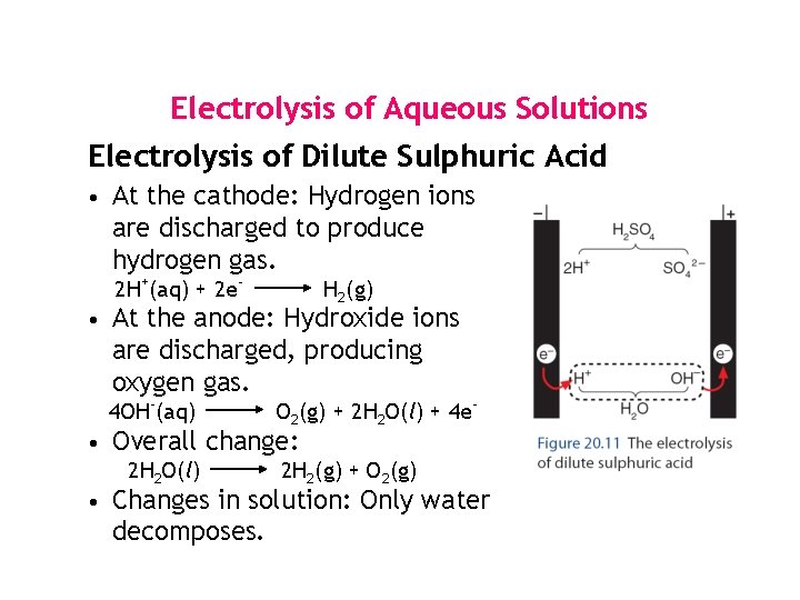 Electrolysis of Aqueous Solutions Electrolysis of Dilute Sulphuric Acid • At the cathode: Hydrogen Electrolysis of Aqueous Solutions Electrolysis of Dilute Sulphuric Acid • At the cathode: Hydrogen