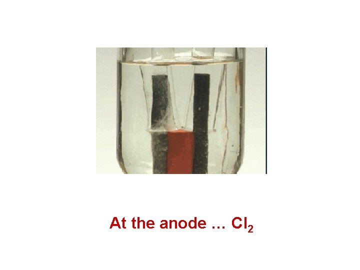 At the anode … Cl 2 At the anode … Cl 2