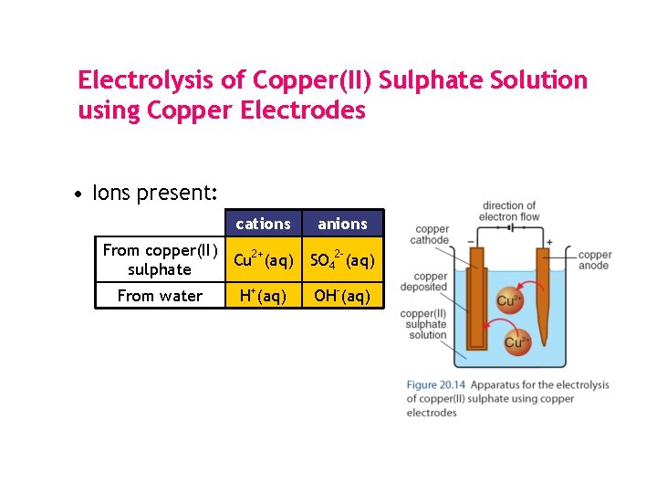 Electrolysis of Copper(II) Sulphate Solution using Copper Electrodes • Ions present: cations From copper(II) Electrolysis of Copper(II) Sulphate Solution using Copper Electrodes • Ions present: cations From copper(II)