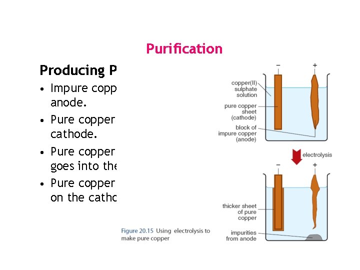 Purification Producing Pure Copper Impure copper is made the anode. • Pure copper is Purification Producing Pure Copper Impure copper is made the anode. • Pure copper is