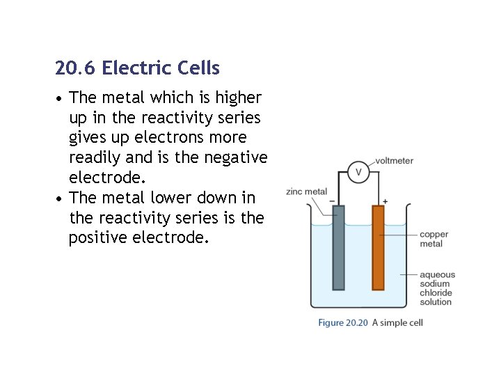 20. 6 Electric Cells • The metal which is higher up in the reactivity 20. 6 Electric Cells • The metal which is higher up in the reactivity