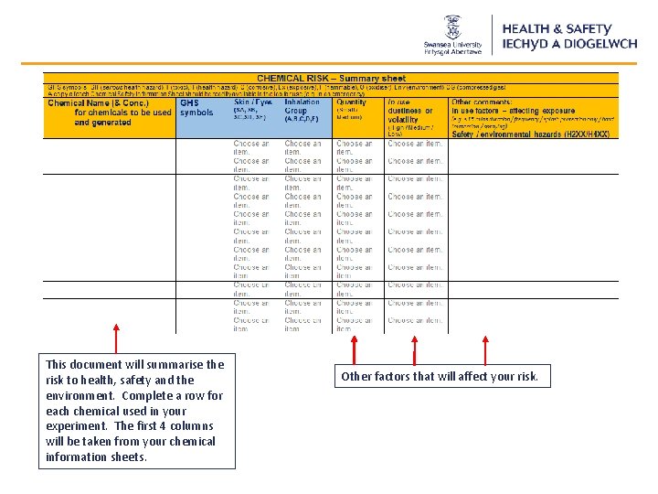 This document will summarise the risk to health, safety and the environment. Complete a